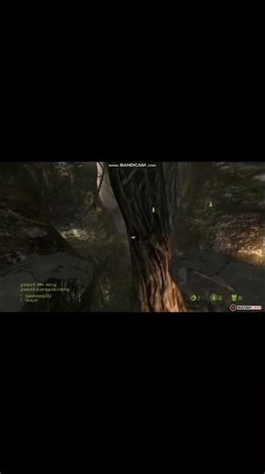 xenomorph multiplayer avp 2010