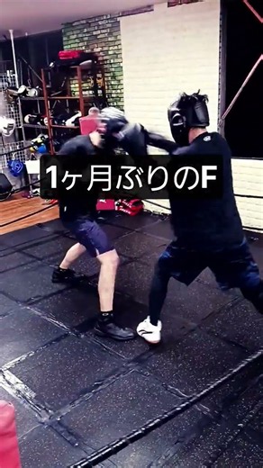 復活のF ライトスパー #トライバルボックス #boxing