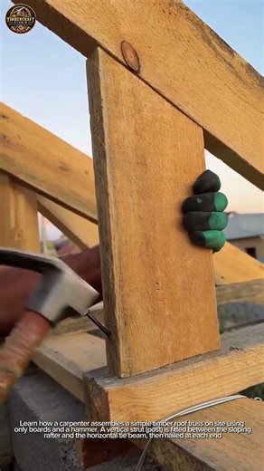 Roof Truss Strut Nailing
