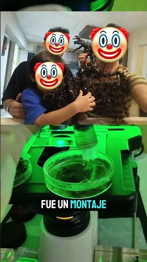 ALIEN FROM PANAMA | The hoax revealed