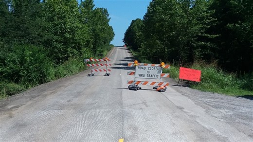 Mass Migration of Venomous Snakes Shuts Down Illinois Highway