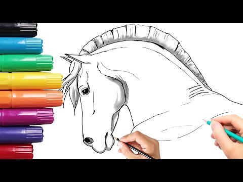 How To Draw A Horse | Step by Step | Side View