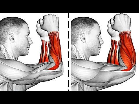 Forearm Exercises for Stronger Arms