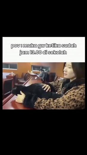 Kucing Mirip Windah: Memes Menghibur dan Viral
