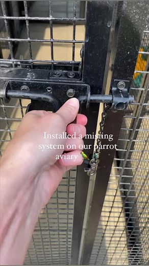 161K views · 1.4K reactions | Installed a misting system on our parrot aviary 列 #misting #mistingsystem #parrots #birds #aviary #birdtricks #macaw | BirdTricks | Facebook