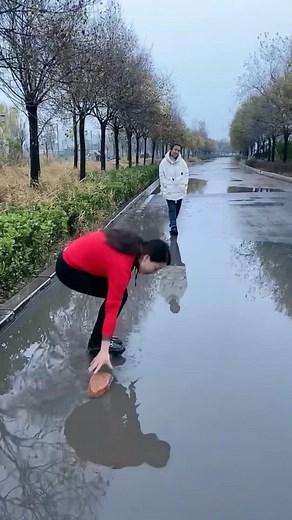 FUNNY VIDEO on TikTok