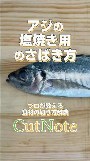 【鯵】アジの塩焼き用のさばき方 #shorts #料理 #魚