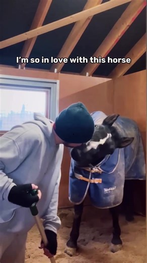 Adorable Farm Animal Cuddles