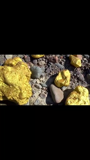 Exploring Gold-Colored Rocks on a Sandy Beach