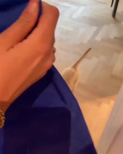 🐾 Άμεση ανακούφιση δροσιάς με τζελ που ενεργοποιείται με πίεση. 🌞 Ιδανικό για ζεστές μέρες, χωρίς νερό ή ηλεκτρισμό. 🎒 Ελαφρύ, αναδιπλούμενο και εύκολο στο καθάρισμα! Κάντε κλικ παρακάτω και αγοράστε τώρα👇 | vigoshop