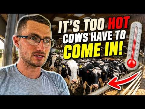 The Reality of Farming in Extreme Heat!