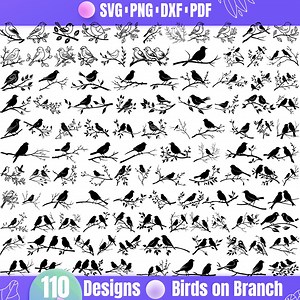 High Quality Birds on Branch SVG Bundle, Bird on Branch Dxf, Bird on Branch Png, Bird on Branch Vector, Bird on Branch Clipart - Etsy