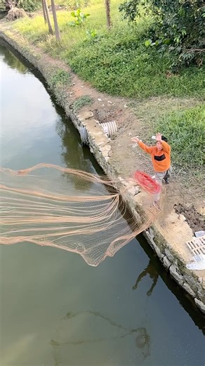 #OutdoorCastNetFishing #CastNetFishing #TraditionalCastNet #FishingLife