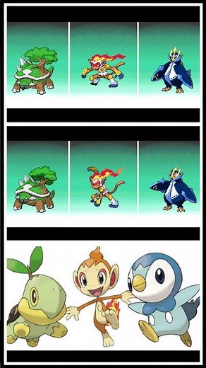 Pokémon - évolution starter G4 : Tortipouss , Ouisticram , Tiplouf #Shorts