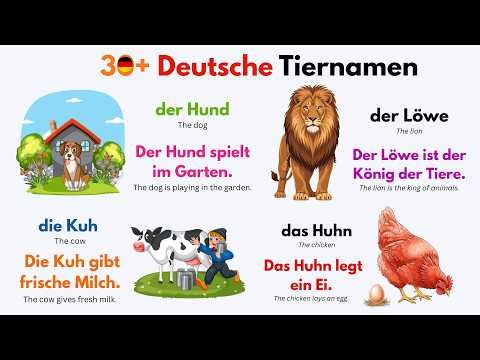 50+ Animal Names in German 🇩🇪 | Learn German Vocabulary with Examples (A1–B1)