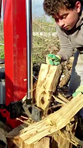 Log Splitter #logsplitter #firewood