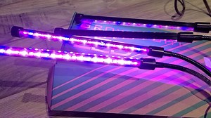 Watch Ankle grow light unboxing on Amazon Live