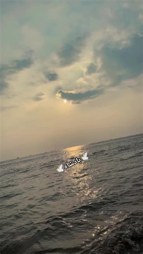 Discover the Magic of One-Mine TikTok Journey