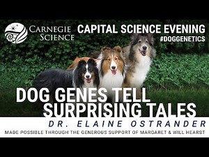 Dog Genes Tell Surprising Tales