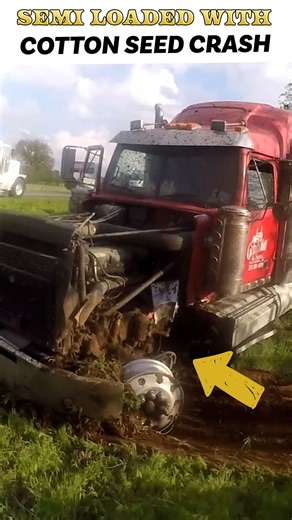 103K views · 2K reactions | From Cargo To Chaos! | Ron Pratt | Facebook