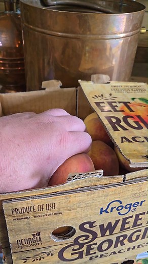 Phil Billy | PhilBilly's Peach Brandy Recipe #peach #homebrew #moonshine #recipe #distilling #homemade #drinks | Instagram