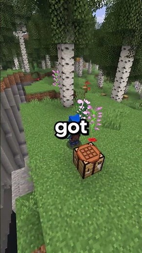 Best MINECRAFT SERVER to join in 2026 (1.21)