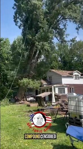 House Crushed in Improper Tree Removal