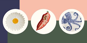 10 beautiful serving platters to set your table the way it deserves