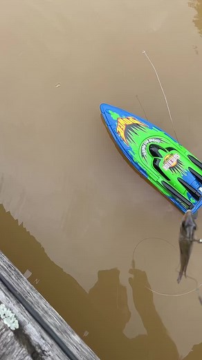 Remote-Controlled Fishing Boat on Muddy Waters