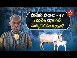 5 అంచెల విధానంలో మొక్క నాటడం తెలుసా? | Subhash Palekar Lessons #47 | hmtv Agri