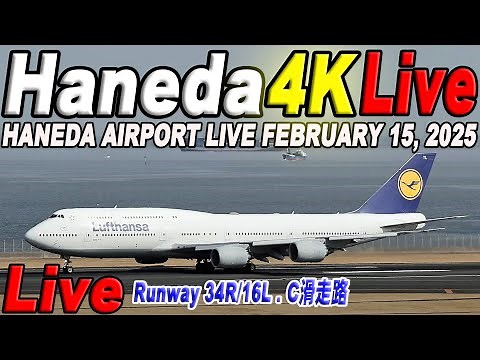 🔵 Live 羽田空港ライブ Haneda Airport Live February 15, 2025 生中継 2025年2月15日 羽田空港ライブカメラ