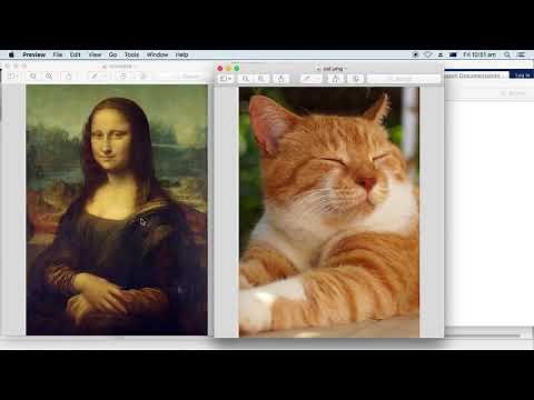 Matlab教程 - 图像处理(第2讲：喵去哪了)