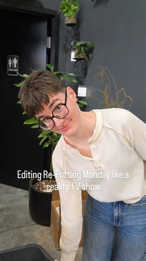 Chlorophyll By Kinghorn Gardens on Instagram: "Repotting day is here and your plants are ready for a little upgrade 🪴 Sometimes your plant's roots are squished and unhappy. You might think the pot still works but it's giving the parking lot after a concert at the CHI 😱 Moving them into a fresh pot from @craftware_pottery with the right breathable soil from @solsoils instantly gives them space to stretch and start thriving. Soggy soil? Not cute. It's giving flooding at the Riverfront energy💧 A