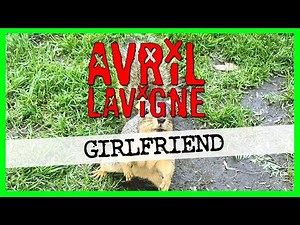 "Girlfriend" | AVRIL LAVIGNE (cover by Like a Pop Song)