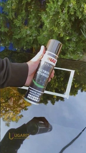 Revolutionize Car Care with Sonax Polymer Net Shield: Is This the Ultimate Paint Protection? 😱