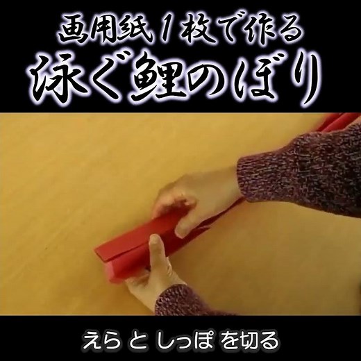 画用紙1枚で くねくね 泳ぐ鯉のぼり🎏鱗が動く！目から鱗の仕組み #こいのぼり #作り方