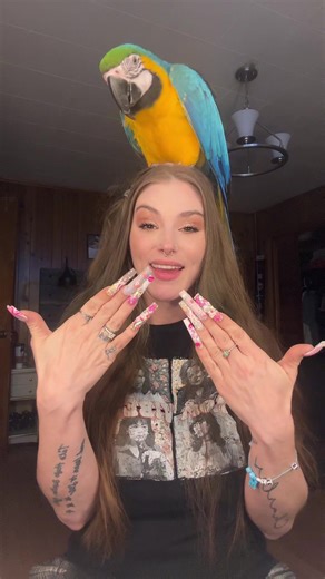 Stunning Hair and Nails by Ducky and Ombré Nail Spa