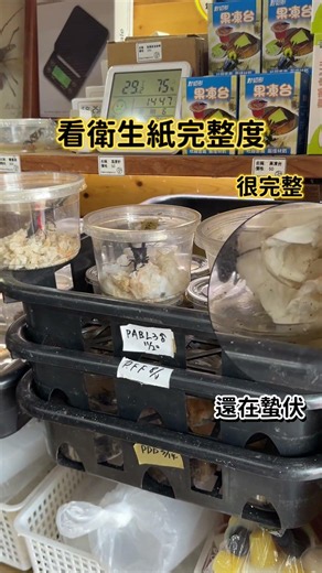甲蟲的成蟲季節又到囉！外觀看起來很難分辨是否已經度過蟄伏期，來看看 菜蟲叔叔昆蟲生活坊 的 #衛生紙判斷法 #鍬形蟲 #獨角仙