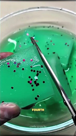 Six Ways To Eliminate Shyness