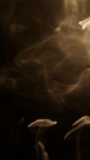 Caden Wilson Y'all!!!! He'll be LIVE at the Florida Country Music Fest - February 21, 2026 at the Turner Agri-Civic Center in Arcadia, Fl. Get your tickets!!! Ticket Link is on our page! | Florida Country Music Fest