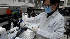 Rapid Determination of Antibody-Antigen Affinity by Mass Photometry