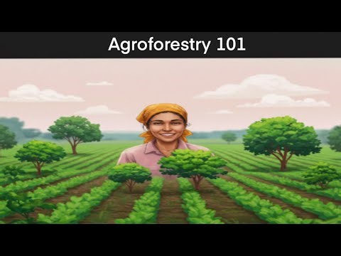 Agro Aqua Talk Episode 2 Agroforestry 101