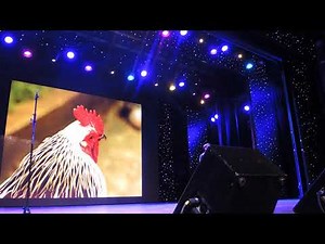 Chicken Monkey Duck — Mike Phirman at the Thursday Concert (Red Team) of JoCo Cruise 2019