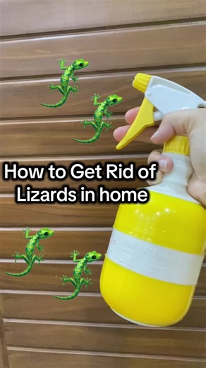 Effective Home Remedies to Repel Lizards Naturally