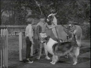 Lassie - Episode #302 - "A Career for Lassie" - Season 9, Ep. 11 - 12/16/1962