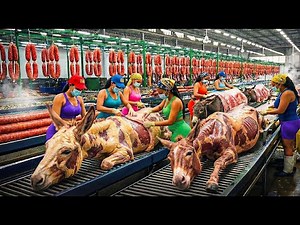 Inside the Factory: How Donkey Meat Is Turned into Sausages – Shocking Complete Process