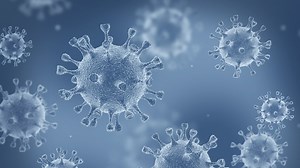 Florida coronavirus cases, hospitalizations, deaths, vaccinations and recoveries