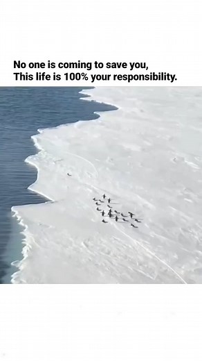 Attitude | Motivation | Mindset | Watch till end 🥺 Follow 👉 @attitude__problem_ For more amazing content. Video credit 🎥 This video is remixed. (Owner's name is in video)... | Instagram