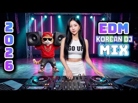 🎧 Remix EDM Club Banger 2026 |🔥 Disco House | Korean DJ Mix Party Dance | Popular Songs #viral