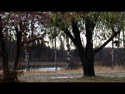 A Visit to Romero Banjos